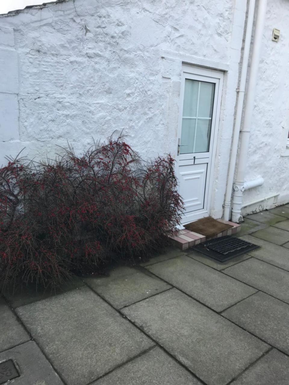 Ardgowan Guest House Paisley Exteriör bild